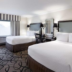 Double Room Two Double Beds